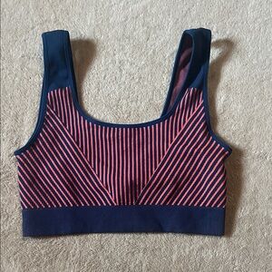 Fabletics Navy and Pink Striped Sports Bra